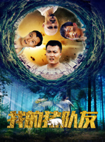 我的猪队友海报剧照