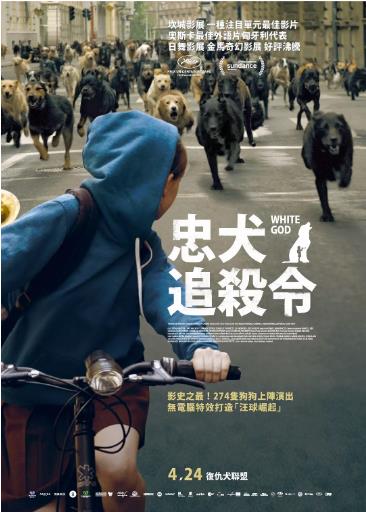 白色上帝海报剧照