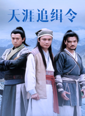 天涯追缉令海报剧照