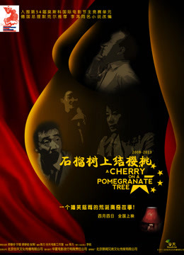 石榴树上结樱桃海报剧照