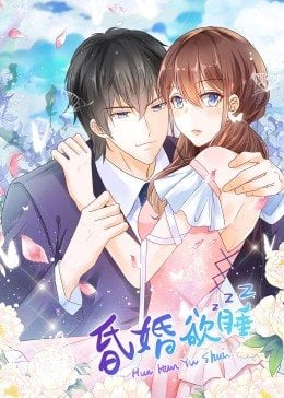 昏婚欲睡 动态漫画海报剧照