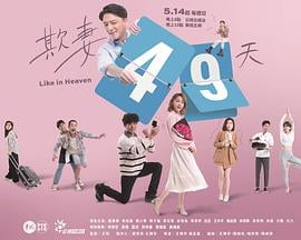 欺妻49天海报剧照