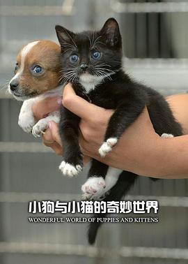 小狗与小猫的奇妙世界海报剧照