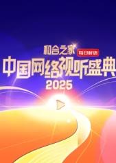 和合之家·2025中国网络视听盛典海报剧照