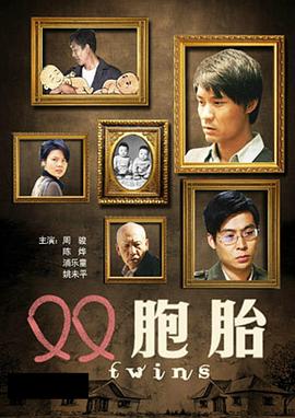 双胞胎海报剧照