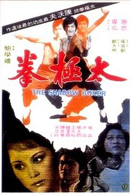 太极拳海报剧照