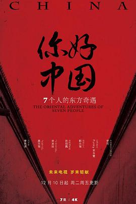 你好中国海报剧照