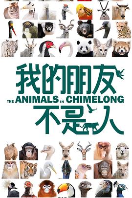 我的朋友不是人海报剧照