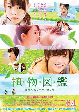 植物图鉴海报剧照