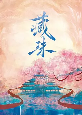 藏珠海报剧照