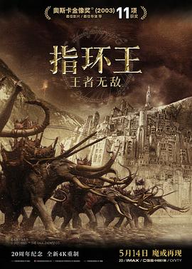 指环王3：王者无敌海报剧照