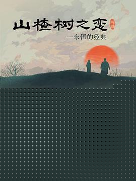 山楂树之恋2025海报剧照