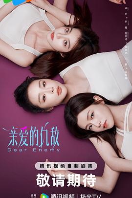 亲爱的仇敌海报剧照
