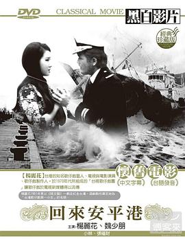 回来安平港海报剧照