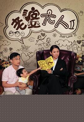 老婆大人2国语海报剧照