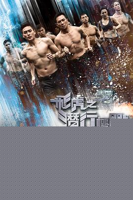 飞虎之潜行极战国语海报剧照