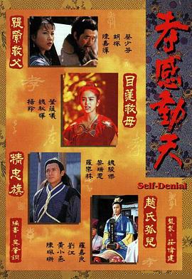 孝感动天粤语海报剧照