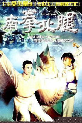 南拳北腿粤语海报剧照