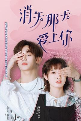 消失那天爱上你海报剧照