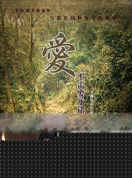 爱不需要承诺海报剧照
