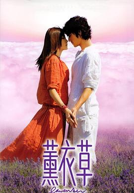 薰衣草国语海报剧照