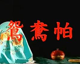 鸳鸯帕海报剧照