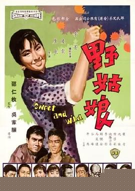 野姑娘海报剧照