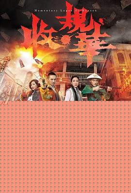 收规华国语海报剧照