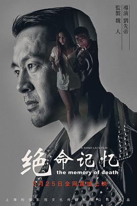绝命记忆海报剧照
