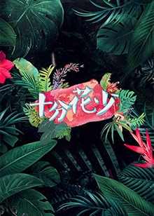 十分花少海报剧照