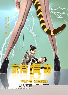 家有虎妻海报剧照
