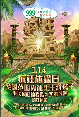 疯狂的麦咭第一季海报剧照