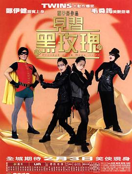 见习黑玫瑰海报剧照