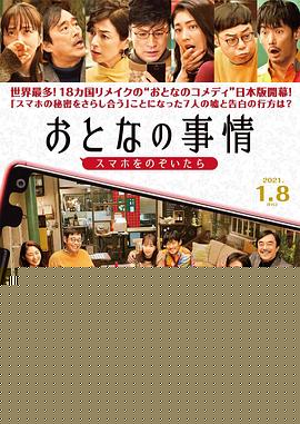大人的事情海报剧照