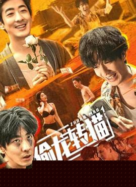 偷龙转猫海报剧照