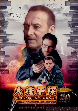 火线干探之复仇国语海报剧照
