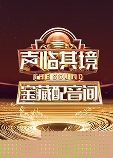 声临其境 宝藏配音间海报剧照