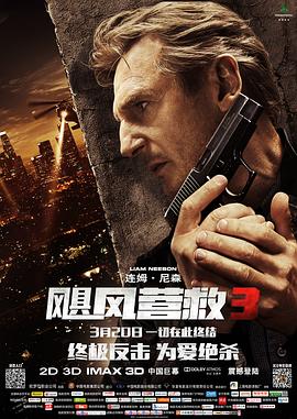 飓风营救3海报剧照