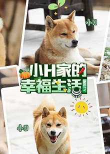 小H一家海报剧照