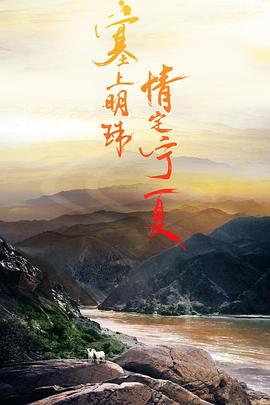 宁夏故事海报剧照