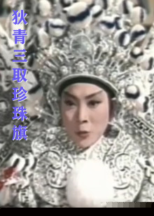 狄青三取珍珠旗海报剧照