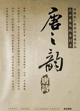 唐之韵海报剧照