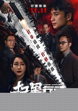 扫黑行动海报剧照