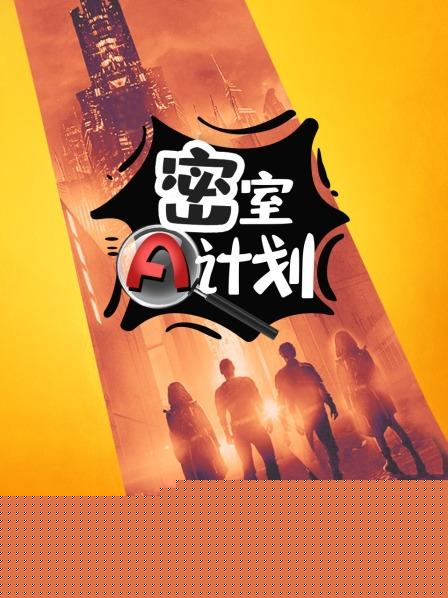 密室A计划海报剧照