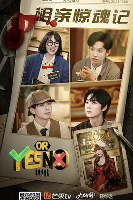 YES OR NO海报剧照