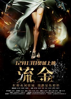 流金海报剧照