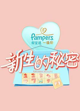 新生的秘密海报剧照