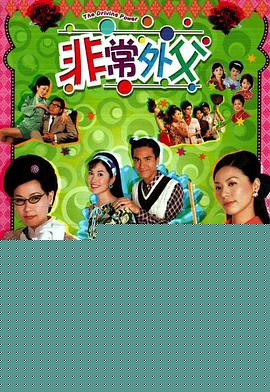 非常外父粤语海报剧照