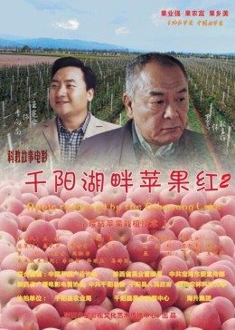 千阳湖畔苹果红2海报剧照