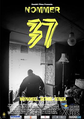 37号海报剧照
